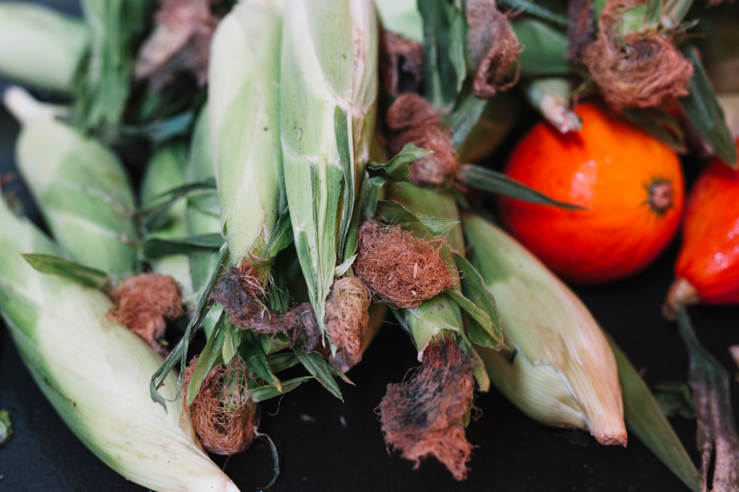 LIFE IP CEI-Greece και Ψηφιακό Άλμα ενώνουν δυνάμεις για την Κυκλική Οικονομία στον αγροδιατροφικό τομέα